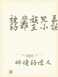 被魔族兄弟囚禁的郡主小说