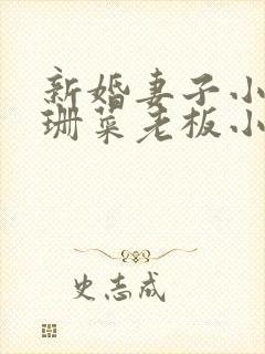 新婚妻子小说芷珊菜老板小说全文阅读封面