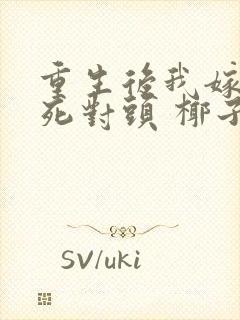 重生后我嫁给了死对头 椰子絮