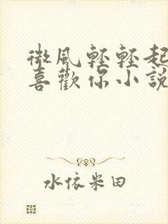 微风轻轻起我好喜欢你小说全文免费阅读