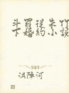 斗罗从朱竹清订下婚约小说