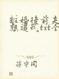离婚后前夫总是想追我txt全集下载