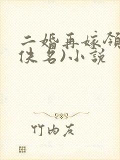 二婚再嫁领导(佚名)小说