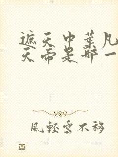 遮天中叶凡见荒天帝是哪一章封面