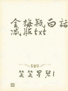金梅瓶白话无删减版txt