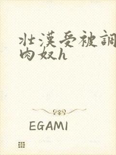 壮汉受被调教成肉奴h