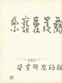 盛宠巨星无删减小说在线阅读