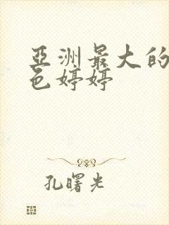 亚洲最大的av色婷婷封面