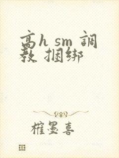 高h sm 调教 捆绑