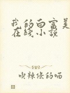 我的白富美老婆在线小说