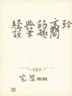 经典的高干文小说笔趣阁封面