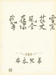 我在风花雪月里等你全文完整版封面