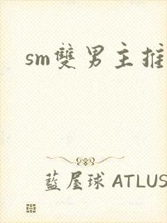 sm双男主推荐
