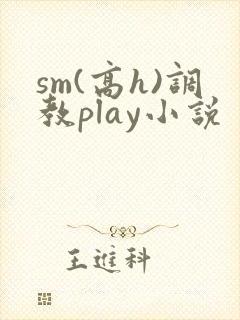 sm(高h)调教play小说