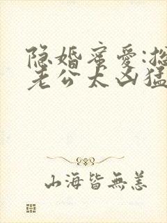 隐婚蜜爱:总裁老公太凶猛小说