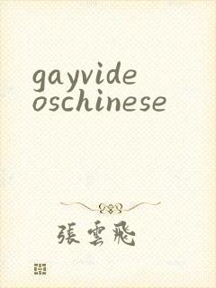 gayvideoschinese