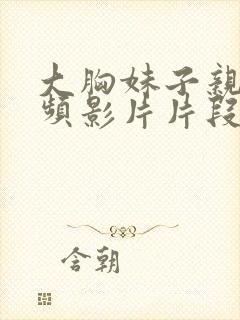 大胸妹子亲吻视频影片片段