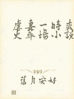 虐妻一时爽追妻火葬场小说