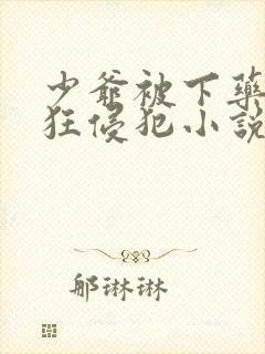 少爷被下药后疯狂侵犯小说