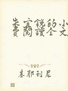 朱宜锐的小说免费阅读全文