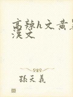 高辣h文黄暴糙汉文