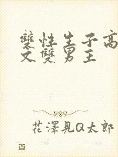 双性生子高辣h文双男主