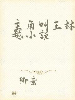 主角叫王林的穿越小说