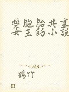 双胞胎共享一个女主的小说