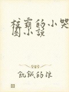 校霸的小哭包校园小说