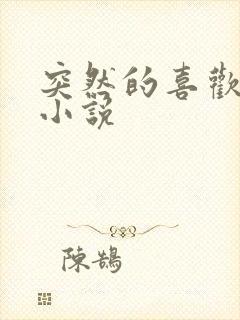 突然的喜欢原著小说