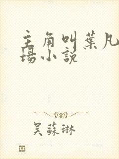 主角叫叶凡的官场小说