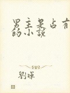 男主是占有欲强的小说