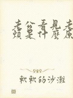 老公看见老婆就烦是什么原因