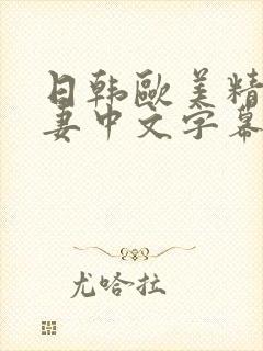 日韩欧美精品人妻中文字幕