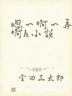 嗯～啊～弄嗯～啊h小说封面