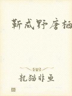 靳成野唐栖雾