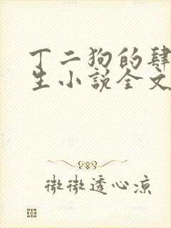 丁二狗的肆意人生小说全文免费阅读
