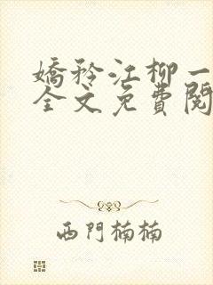 娇矜江柳一小说全文免费阅读笔趣阁封面