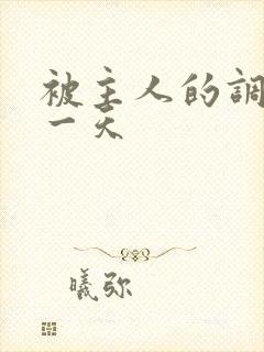 被主人的调教的一天