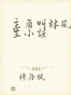 主角叫林风的重生小说