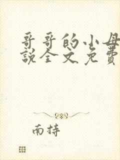 哥哥的小母狗小说全文免费阅读笔趣阁