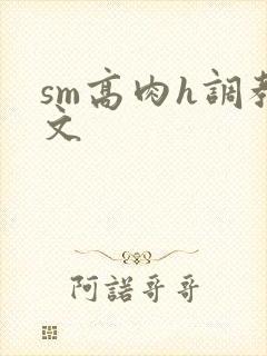 sm高肉h调教文