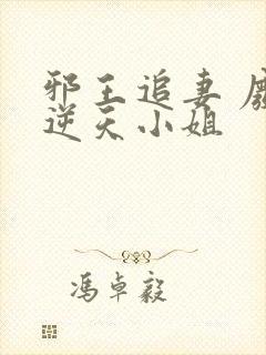 邪王追妻 废材逆天小姐