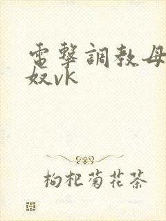 电击调教母狗女奴vk封面