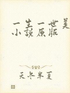 一生一世美人骨小说原版封面