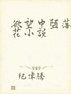 欲望中堕落的校花小说