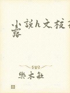 小说h文校花暴露封面