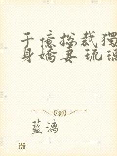 千亿总裁独宠替身娇妻 琉璃雪雪