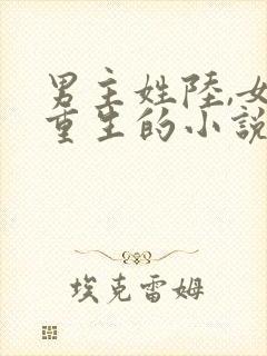 男主姓陆,女主重生的小说