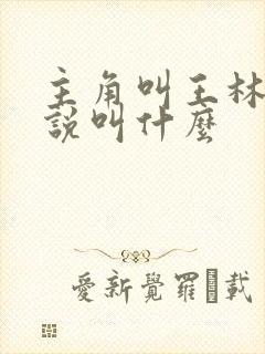 主角叫王林的小说叫什么